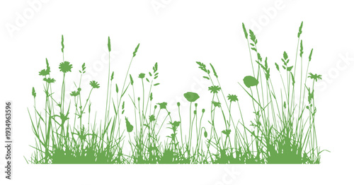 Natural grass blades and flower silhouettes in minimal style.