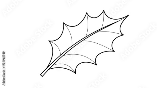 Detailed line drawing of a single green holly leaf with characteristic sharp prickly edges and visible veins.