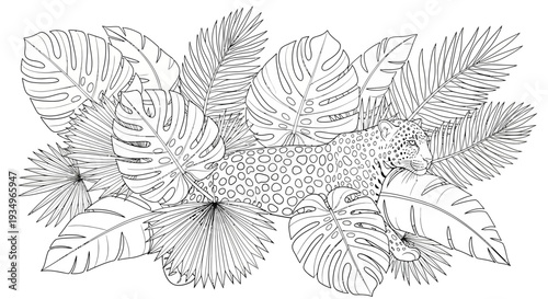 Black and white illustration of tropical leaves and flowers arrangement.