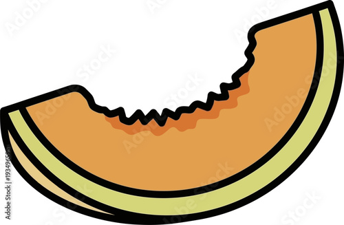 Large Cantaloupe Slice With Visible Seeds And Rind Detail