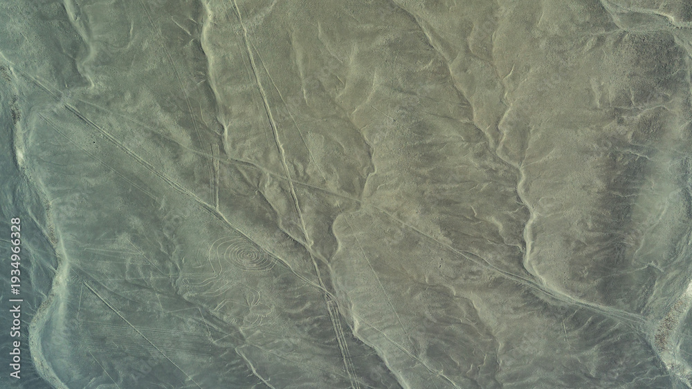 Obraz premium The Nazca Desert. Aerial view. An ancient geoglyph is visible on a sandy plateau - a giant drawing of a monkey with a spirally twisted tail. Peru. Nazca Lines