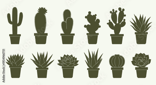 Collection of various potted cacti and succulents on a light green background, Generative AI.