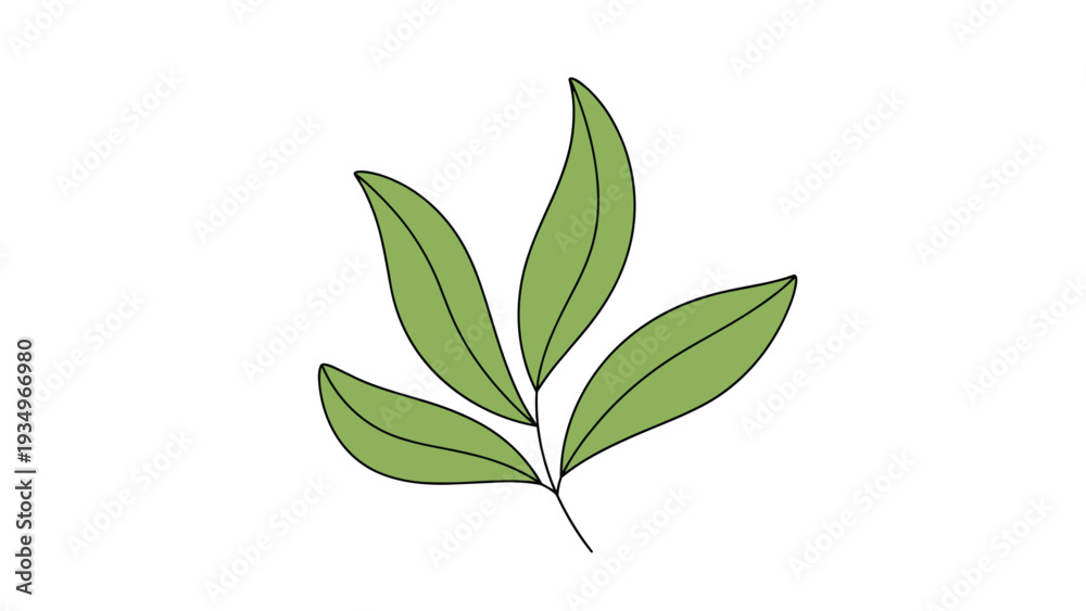 Fototapeta premium Small branch with four light green leaves shown in a simple illustrative style isolated on a white background.
