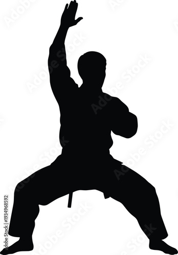 Martial artist silhouette in fighting stance, male karate or kung fu pose isolated black vector illustration