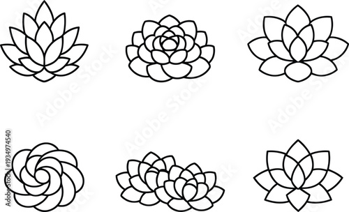 Black and white line of various succulent plants succulents line black and white