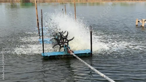 The water pump is working in the fish pond.
