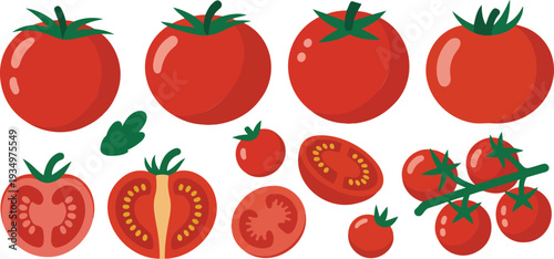 Fresh Tomato Collection with Whole Sliced and Cherry Tomatoes Minimal Clean Line Art Vector Set