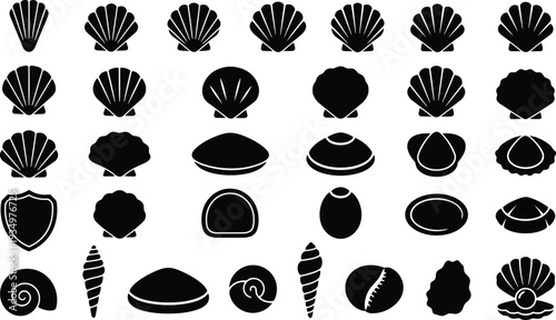 Collection of various seashells in black silhouette on white background