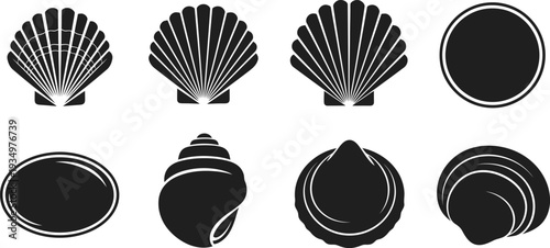 Black and white seashell icons for design and decoration
