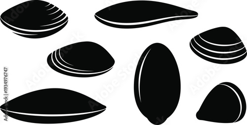 Collection of realistic black mussel shells on white background