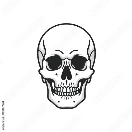 Simple Line Art Skull Illustration