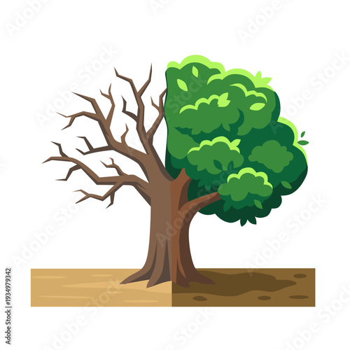 Tree with half dead branches and lush green leaves