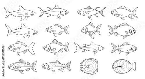 A collection of various fish illustrations in different poses and shapes, Generative AI