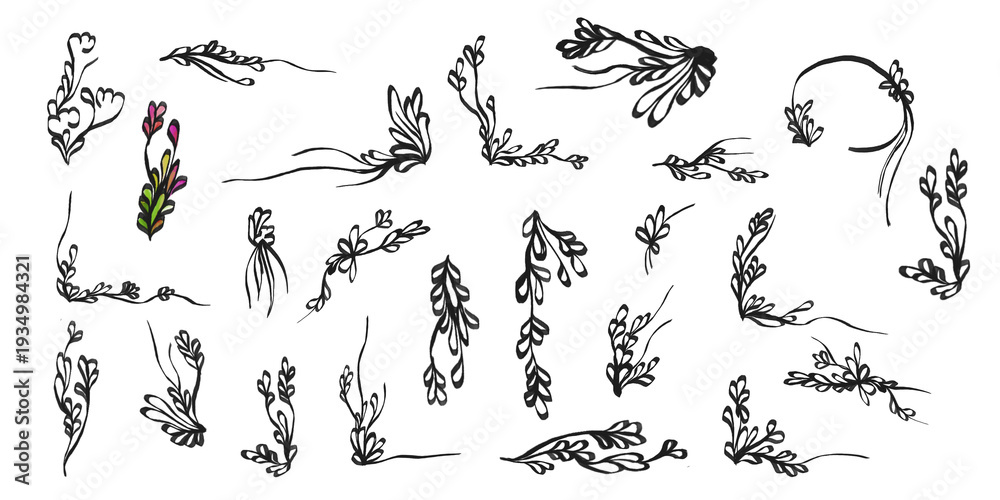 Fototapeta premium Collection of hand-drawn floral elements, leaf ornaments, and decorative borders on transparent background for PNG isolation.