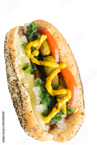 isolated Chicago style hot dog