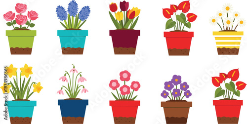 Spring flowers in colorful pots collection with roses tulips hyacinths daffodils daisies and decorative houseplants vector illustration