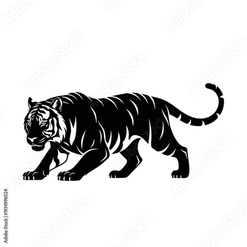 Black and White Tiger Stalking in a Minimalist Style