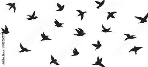 Flying bird silhouettes vector collection flock in flight isolated on white background wildlife nature freedom sky design elements
