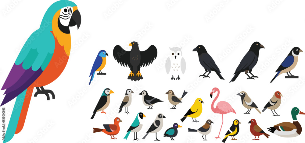 Fototapeta premium Colorful bird species collection with parrot eagle owl crow flamingo duck sparrow and many small birds isolated wildlife illustration set.