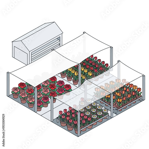Greenhouse with multiple sections for various potted flowers and plants.