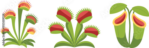 Venus flytrap and pitcher plant icon set carnivorous colorful trap leaves green red yellow exotic insect eater botanical vector illustration for nature garden design