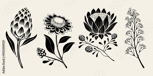 Elegant black and white botanical illustration featuring protea and other wildflowers