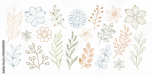 Collection of delicately illustrated floral and botanical line art elements