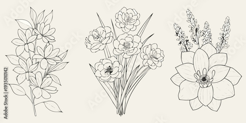 Delicate botanical illustration featuring various flowering plant arrangements