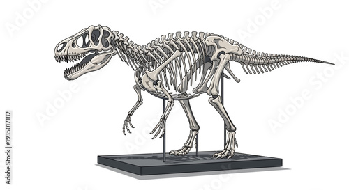 A detailed dinosaur skeleton model on display on a black stand against a clean white background, showcasing prehistoric life with a focus on vertebrate paleontology and extinct species.