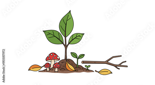 Small forest floor ecosystem with sprout, mushrooms, and autumn leaves.