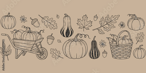 Flat vector illustration of autumn harvest elements, pumpkins wheelbarrow basket leaves acorns gourds flowers, seasonal decoration, Thanksgiving fall design