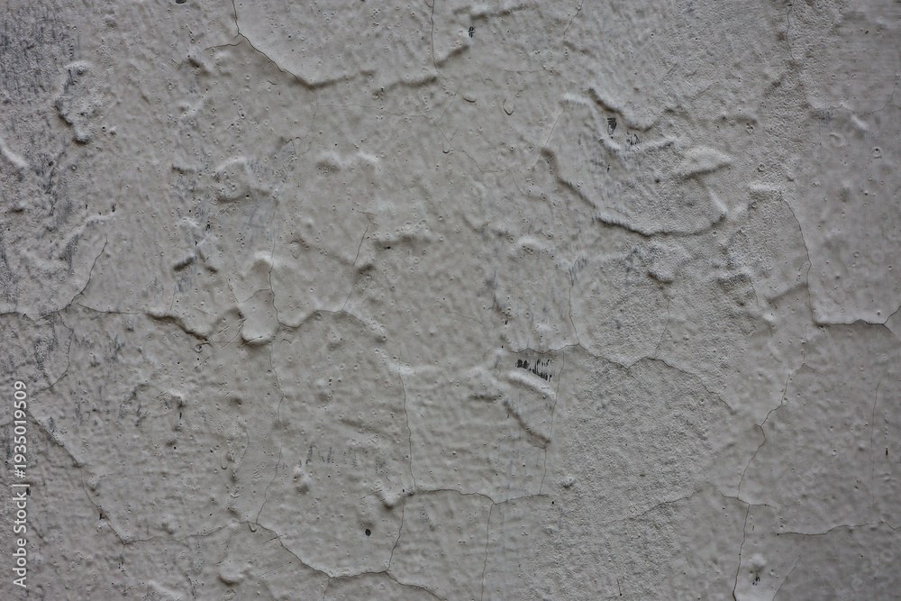 Obraz premium Gray wall grunge texture or background