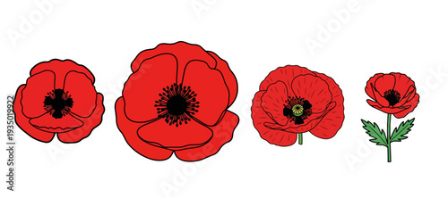 Remembrance Symbols: Set of Four Red Poppy Flower Illustrations