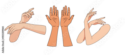 Set of Graceful Female Hand and Arm Illustrations in Various Elegant Poses
