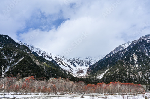 Wallpaper Mural 冬の日本長野県の上高地 Torontodigital.ca