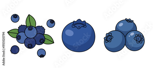 Collection of Crispy Potato Chip Bag Illustrations in Various Packaging Styles for Snack Food Branding and Retail Graphic Design