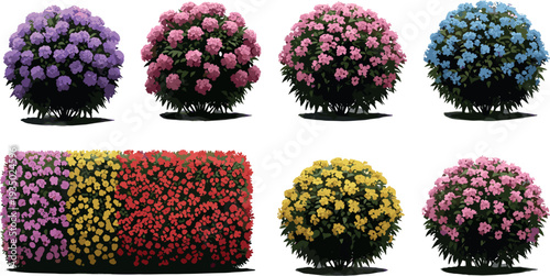 Colorful flowering garden bushes and hedges collection with pink, purple, yellow, blue and red blossoms, decorative landscape plants isolated vector illustration set.