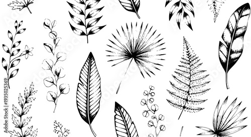 Leaves and plants hand-drawn set with intricate black line art detailing featuring botanical, nature, illustration with