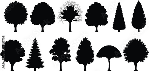 Black tree silhouette icons set with various forest and park species including pine deciduous and evergreen trees isolated on white background for landscape design
