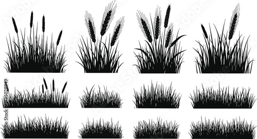 Black animal silhouette collection featuring wild and domestic species isolated on white background, detailed vector illustration set for logo, stencil and educational design use