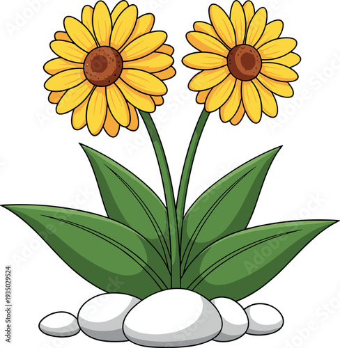 Two bright yellow garden flowers with green leaves and decorative stones, cartoon botanical plant illustration isolated for spring nature, gardening, floral design themes.