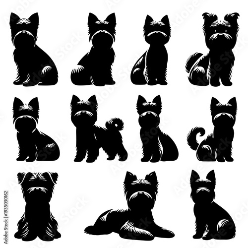 A set of black silhouette illustrations of various West Highland White Terrier dog poses