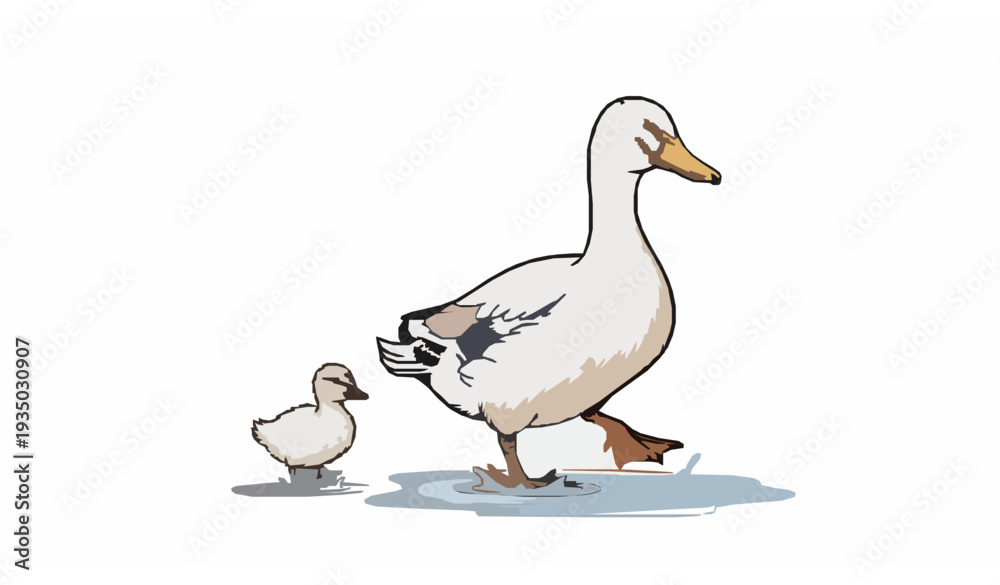 Obraz premium Hand Drawn Mother Duck and Duckling Walking Together in Water Puddle Vector Illustration