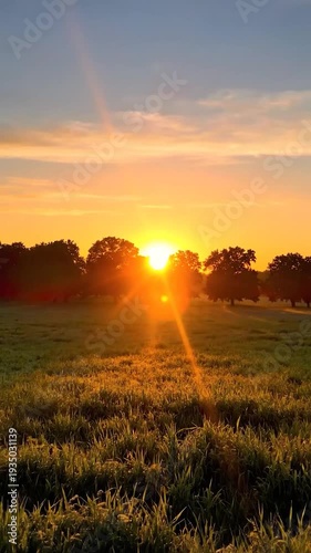 Golden sunrise illuminates a peaceful rural landscape with trees