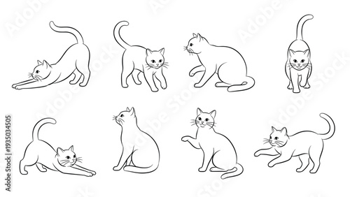 Collection of eight black and white cat sketches showing various natural poses like stretching, sitting, and walking on a plain background.