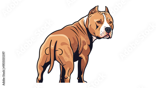 Strong pitbull dog standing and looking back over its shoulder shown in a detailed digital illustration with realistic muscles and coloring.