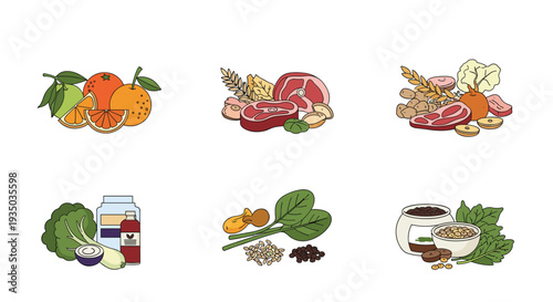 Nutritious food groups collection including fresh fruits like oranges and limes along with lean meat, vegetables, and whole grains for a balanced diet.