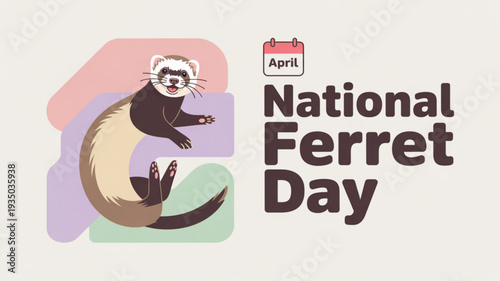 Ferret celebrates national ferret day in april with colorful backgrounds