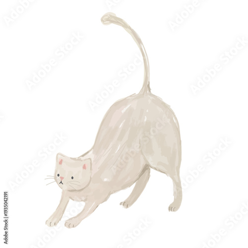 伸びをする白猫