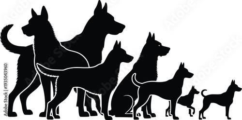 Black dog silhouettes set with various breeds in different sizes standing and sitting positions isolated on white background for pets.